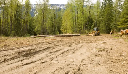 Land Clearing
