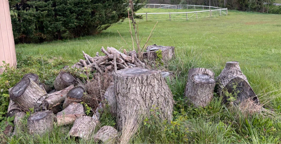 Stump Removal